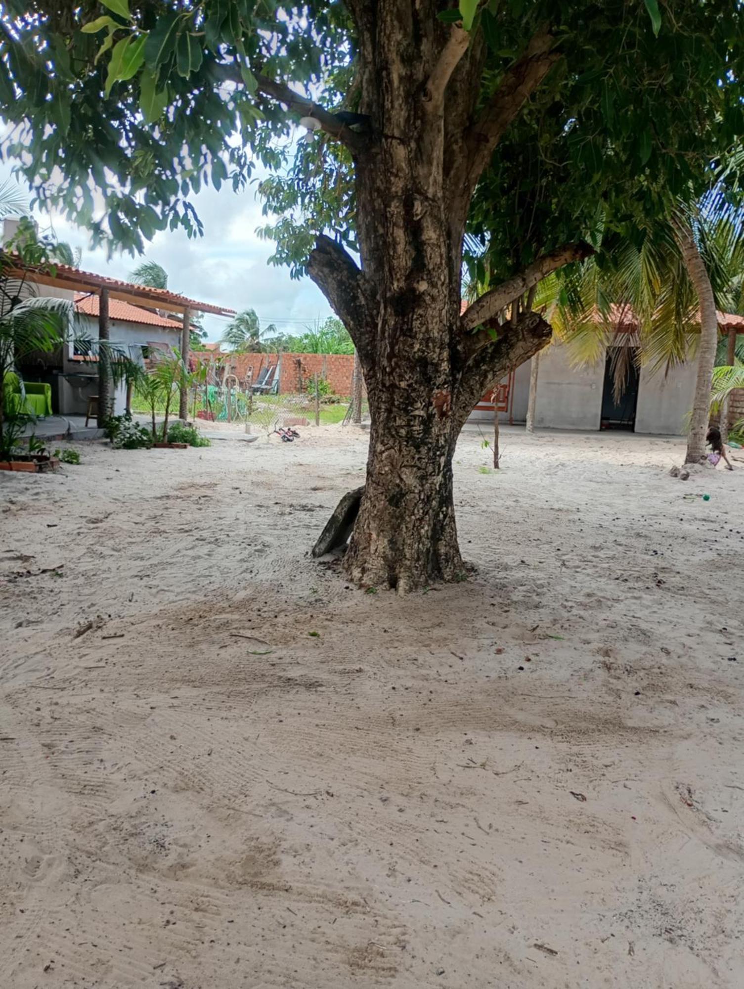 Pousada Shalom E Hostel Holly Land Santo Amaro do Maranhao Εξωτερικό φωτογραφία