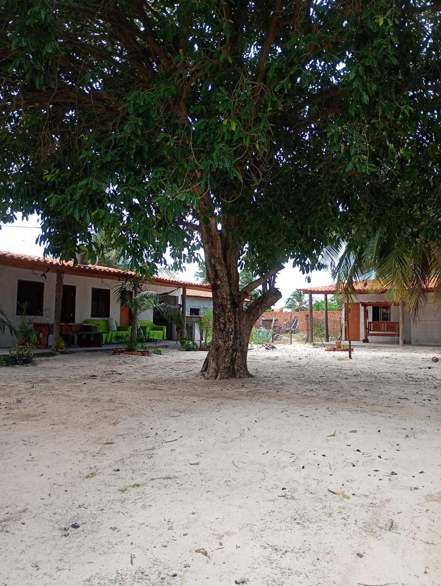 Pousada Shalom E Hostel Holly Land Santo Amaro do Maranhao Εξωτερικό φωτογραφία